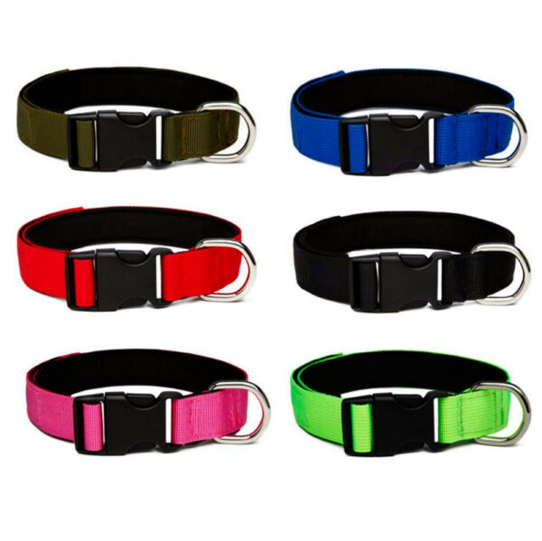 COLLAR PARA PERROS KALEV - Imagen 2