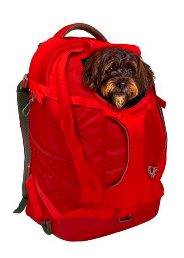 MOCHILA TRANSPORTADORA PARA PERROS Y GATOS ROQUE - Imagen 3