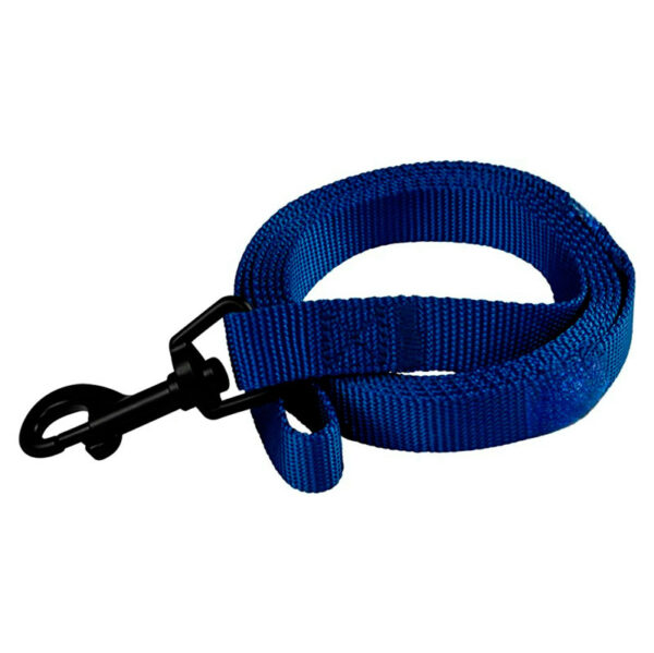 CORREA PARA PERROS WINNI
