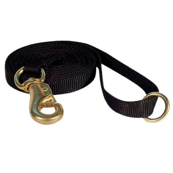 CORREA PARA PERROS AZZAF